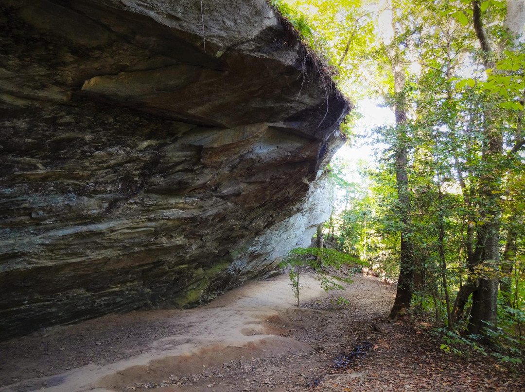 Lillington旅游攻略图片