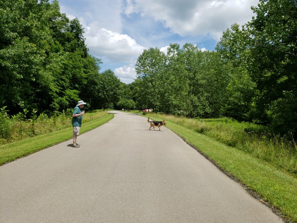Fox Ridge State Park-Charleston必去景点