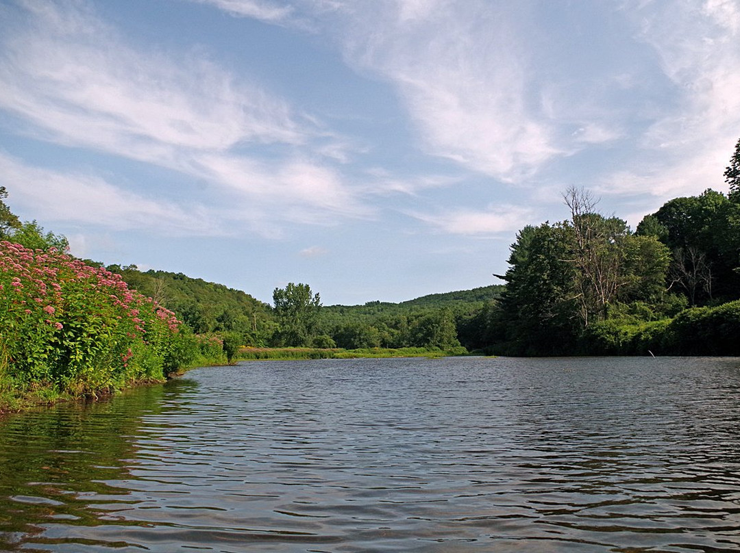 Littleville Lake景点图片