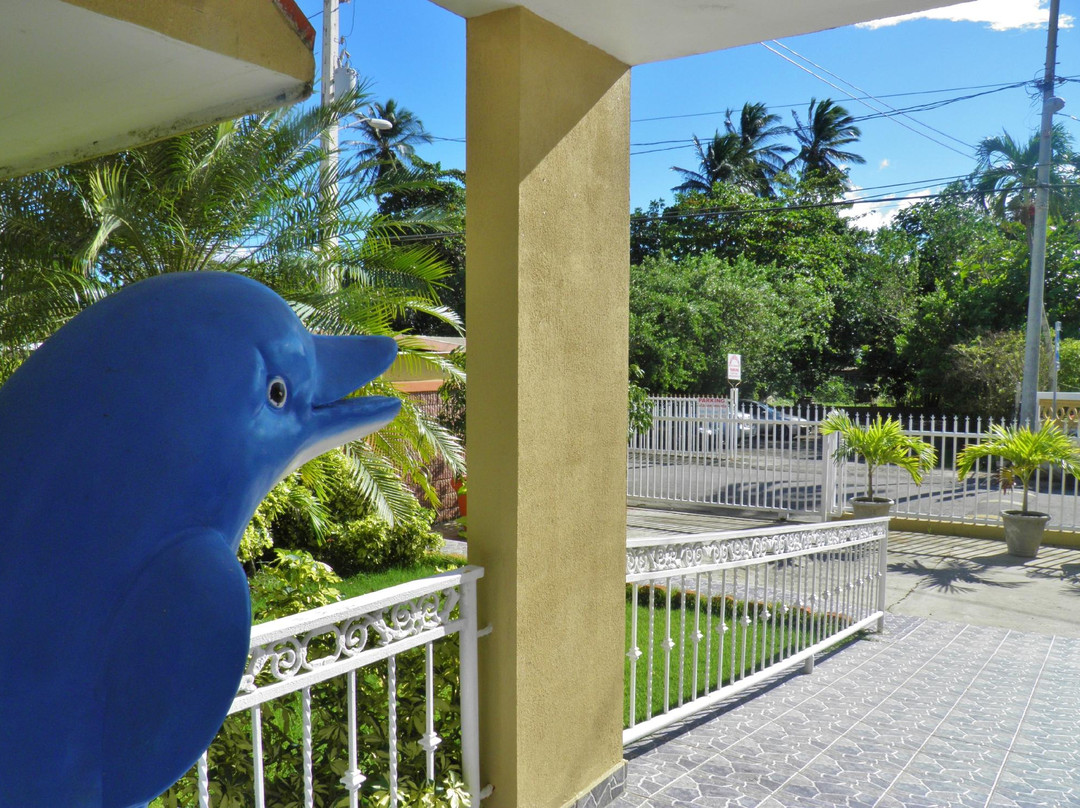 Selva Boutique Hotel - Luquillo Oceanfront Retreat - Adults only