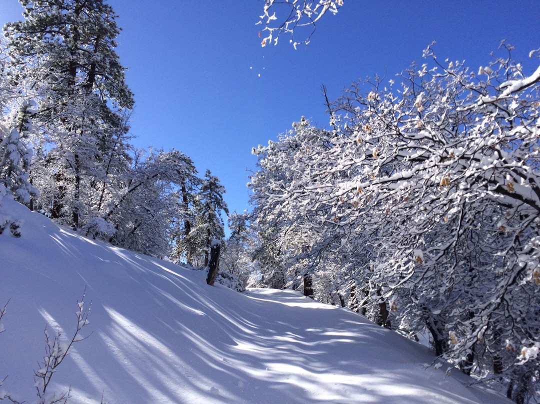 Rim Nordic Cross Country Ski Center-Running Springs必去景点