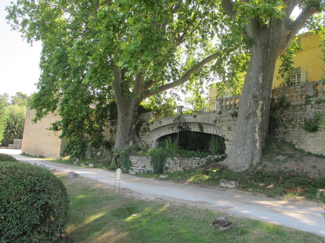 Chateau la Canorgue景点图片