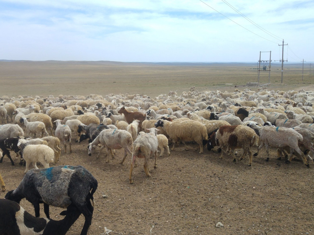 格根塔拉草原景区
