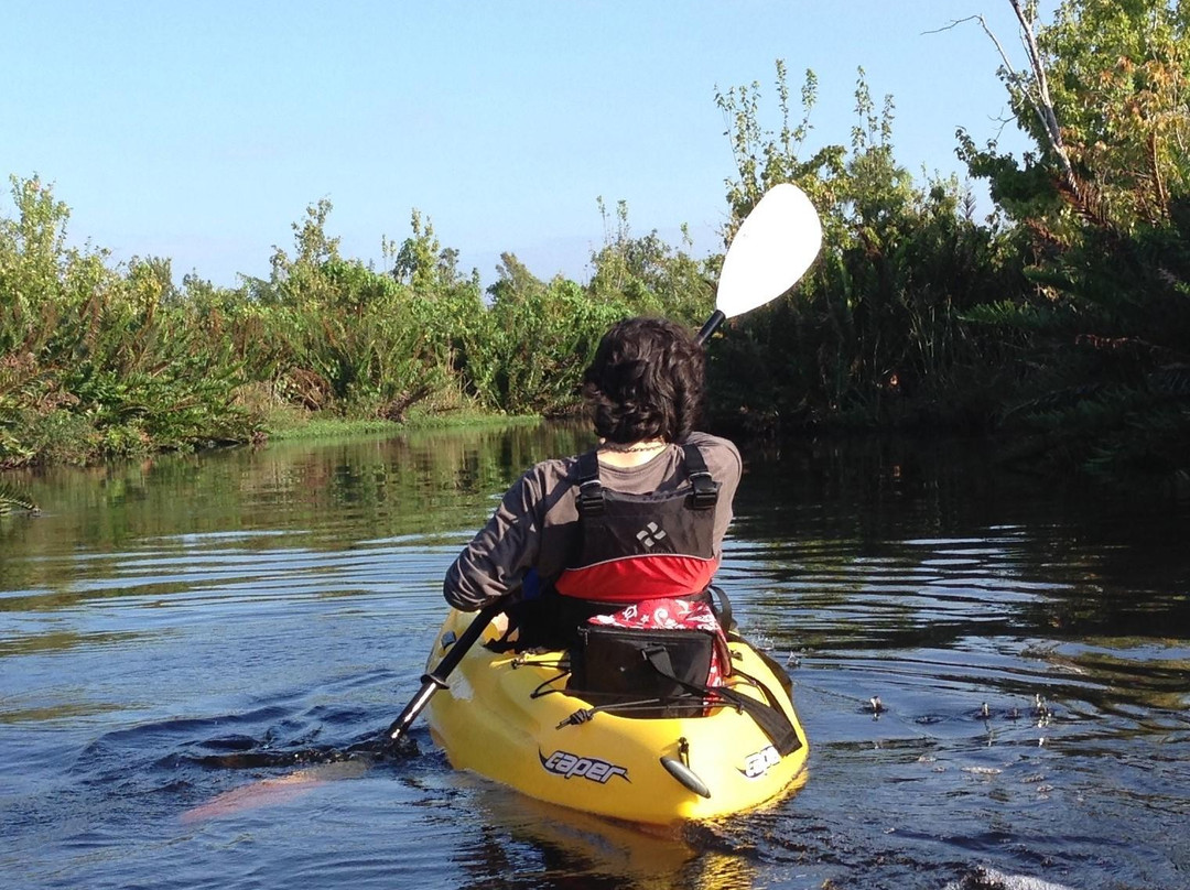 Kayak Eco Tours-阿卡迪亚必去景点