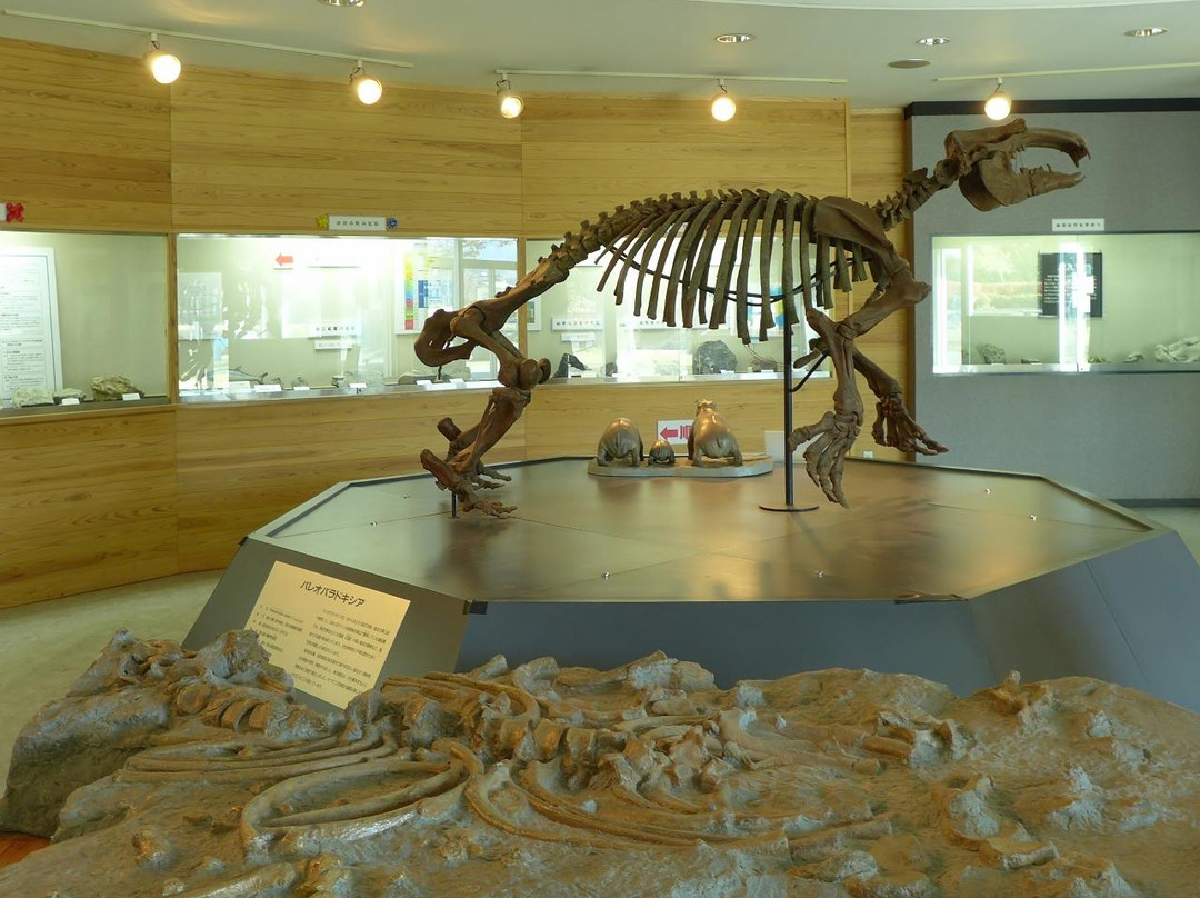 Ogano Fossil Museum景点图片