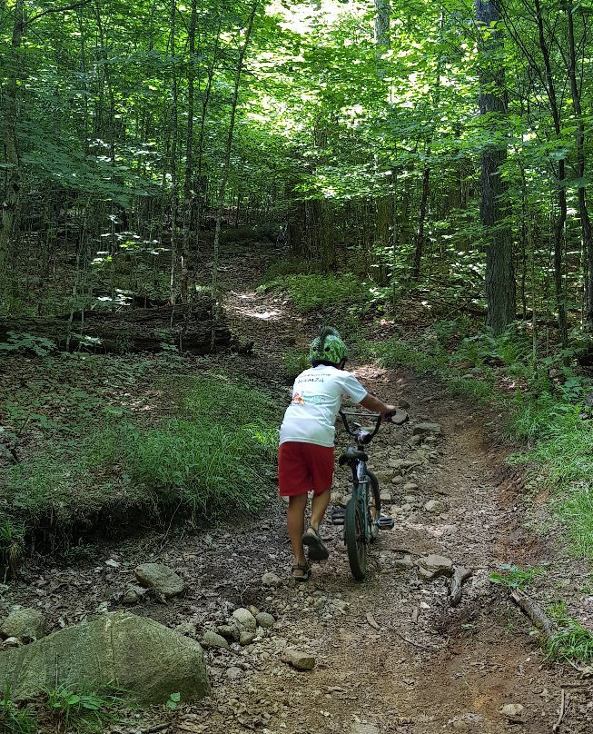 Minnesing Mountain Bike Trail景点图片