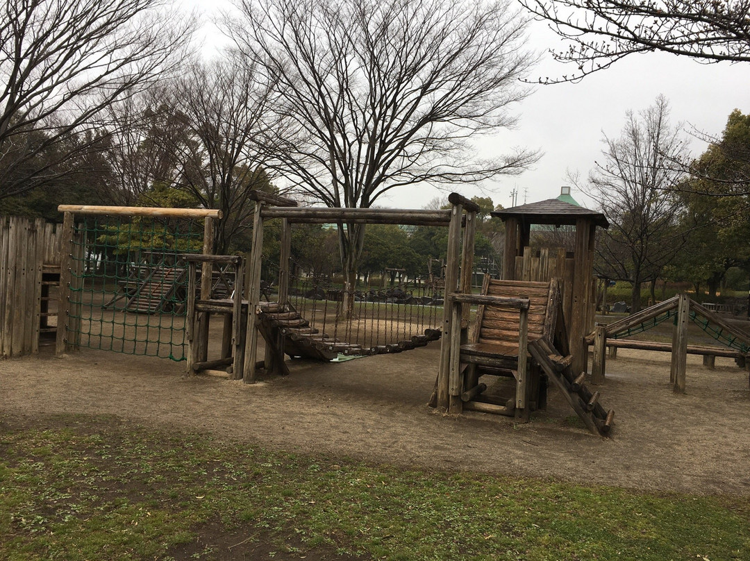 Showa Sogo Park景点图片