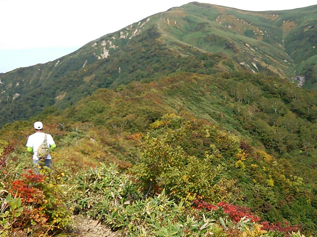 Mikuniyama Mountain景点图片