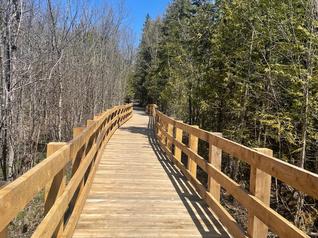Parc de la Forêt-Boucher