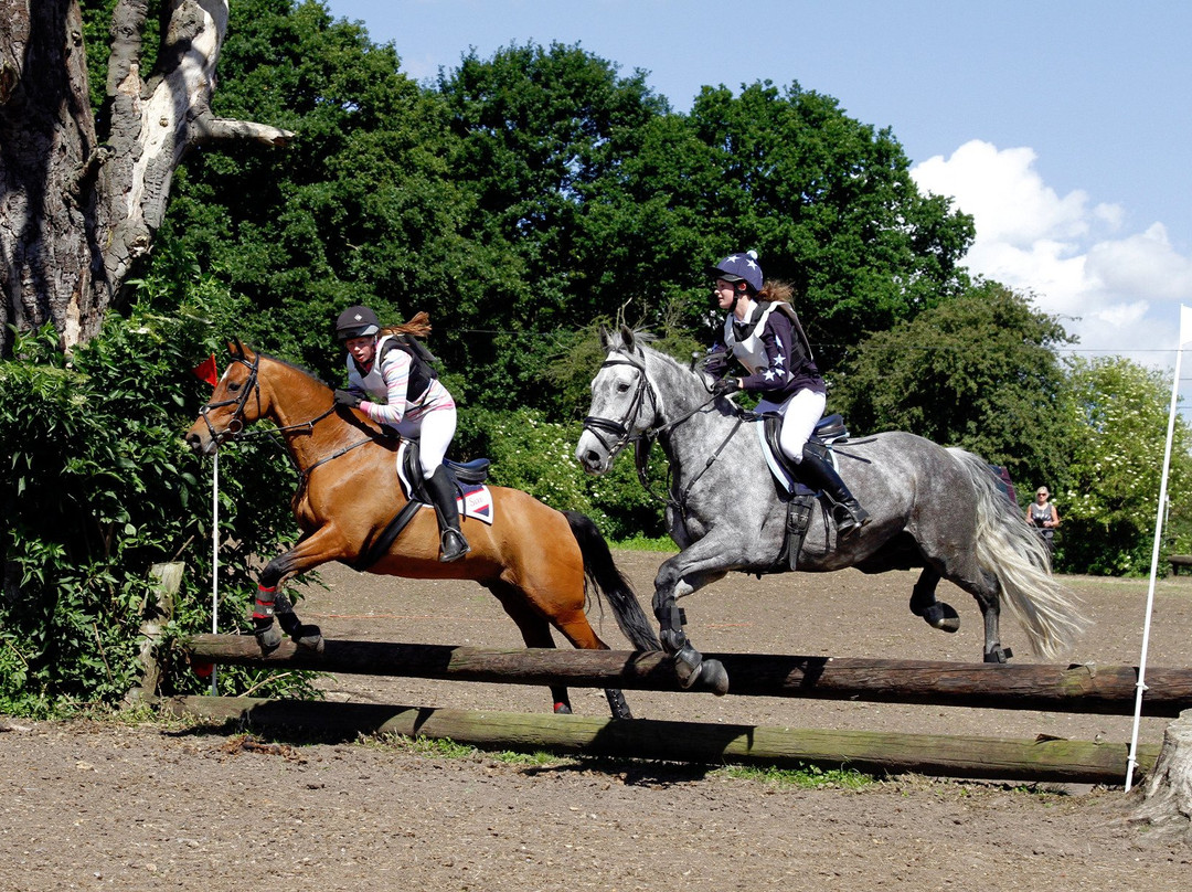 Mount Mascal Stables-伦敦必去景点