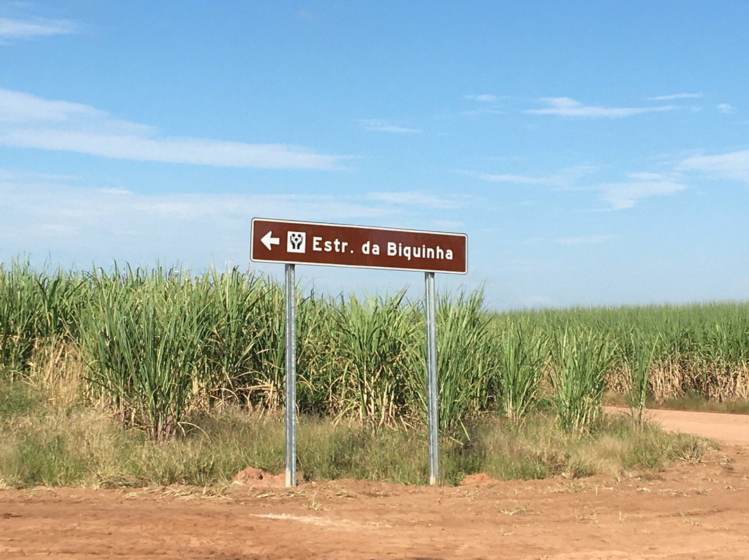 Trilha Da Serra Da Biquinha