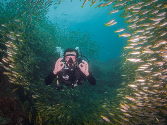 Flip Flop Divers-兰塔岛必去景点