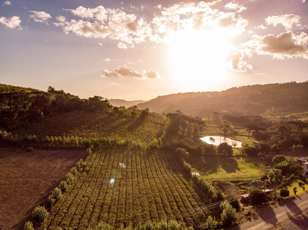 Bello Sapore Armazém e Café Colonial