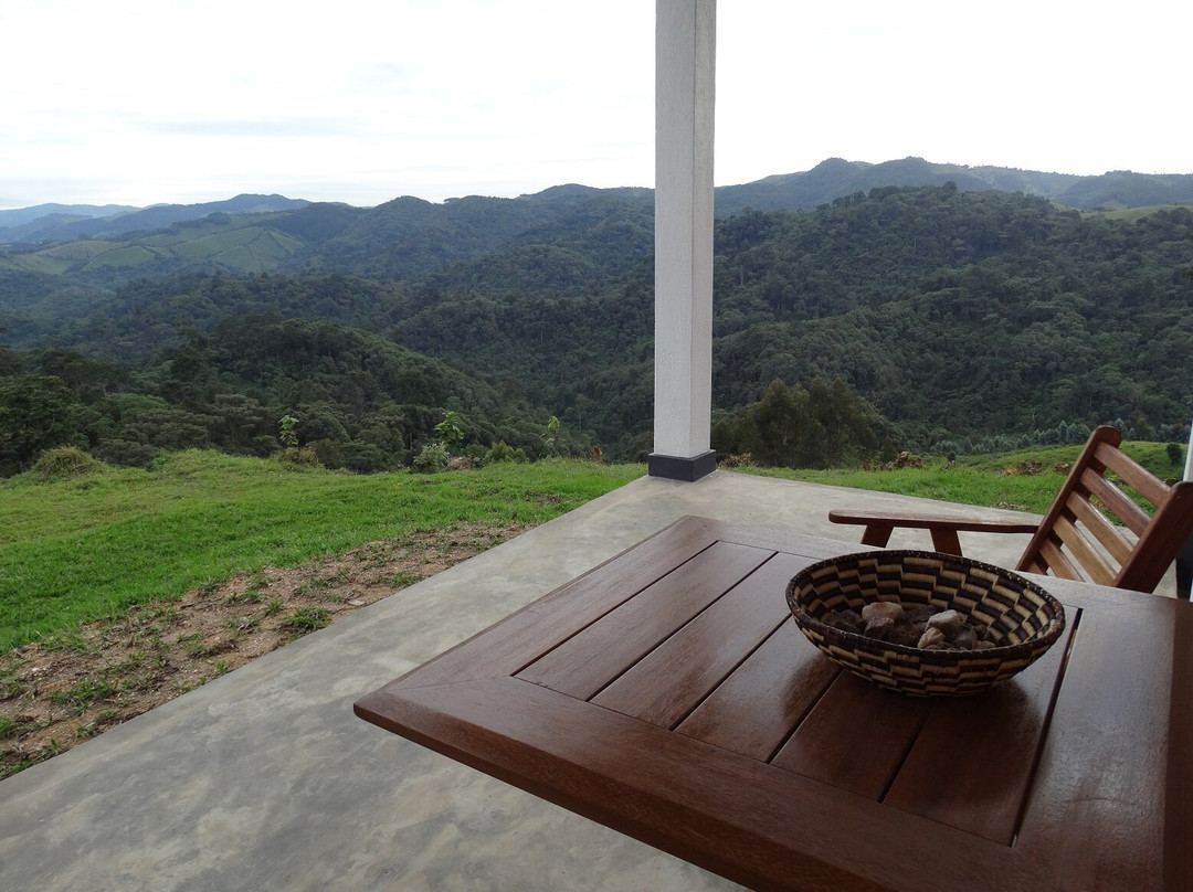 Forest of Hope Guest House & Camp Site
