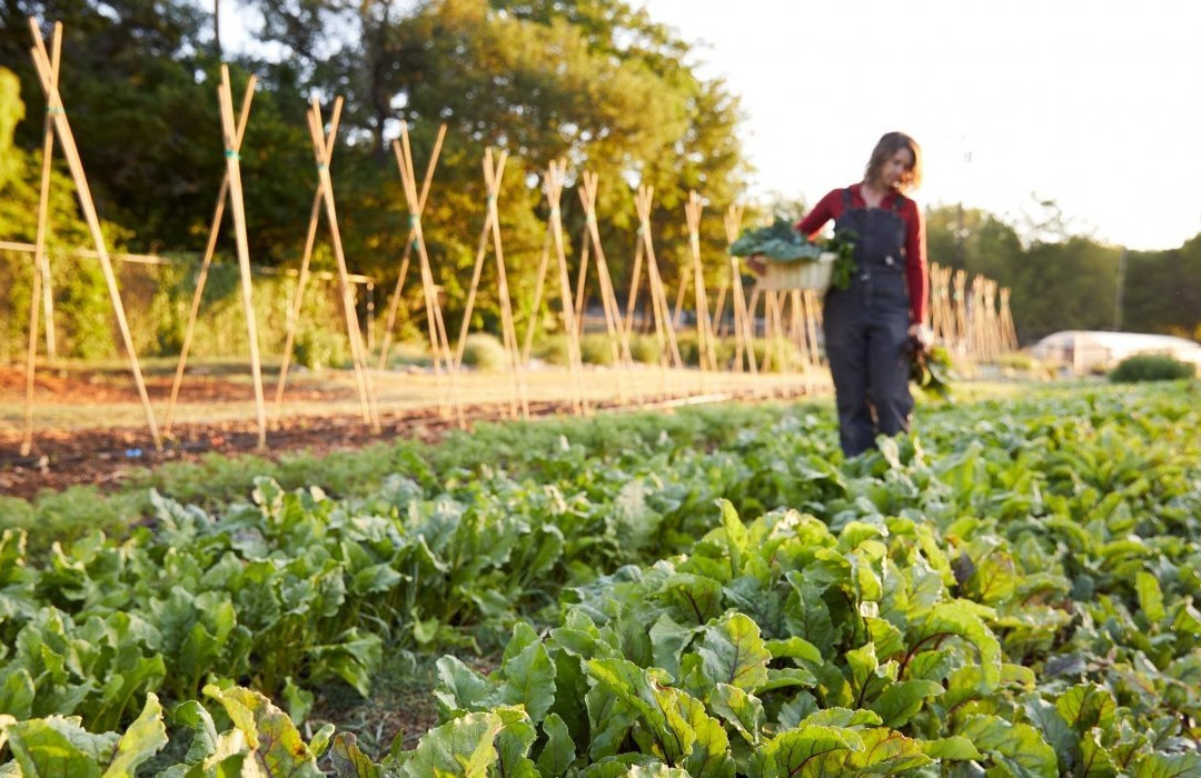 Miraval Austin主图