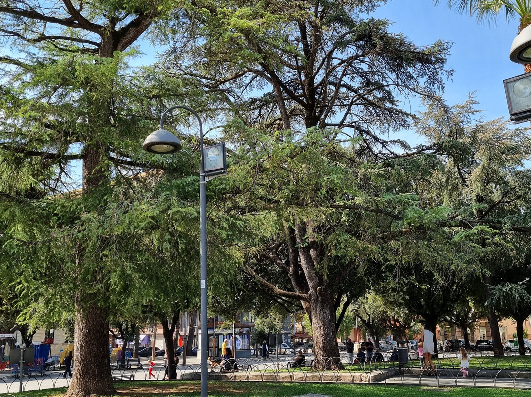 Piazza della Repubblica景点图片