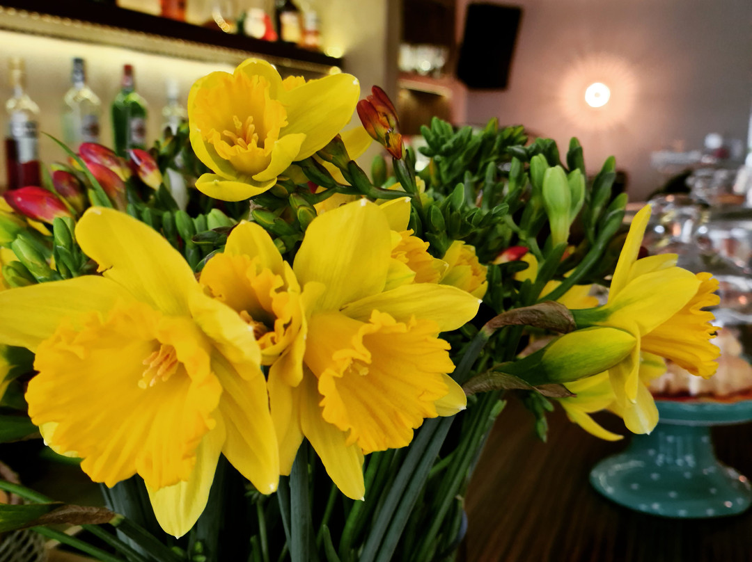 Soleil Cafe Coctail Bar