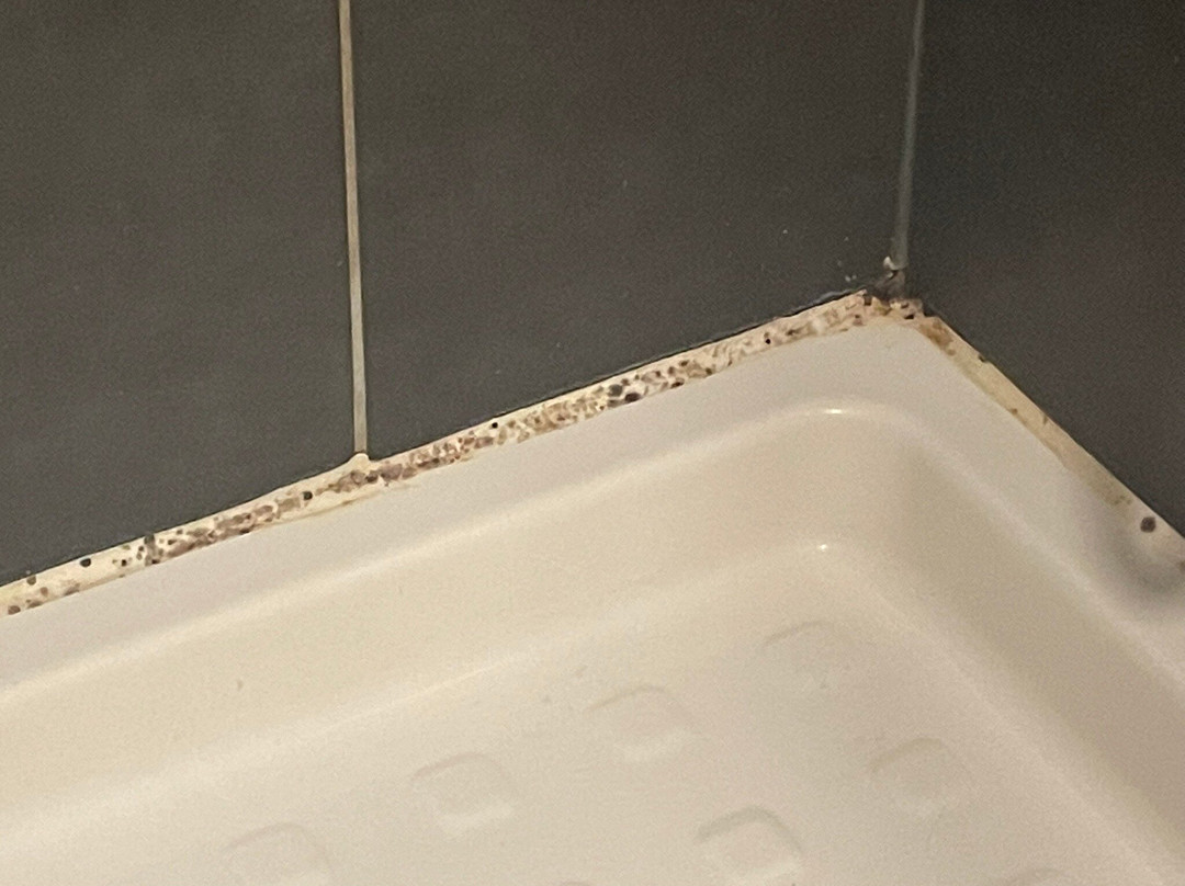 Café De La Gare