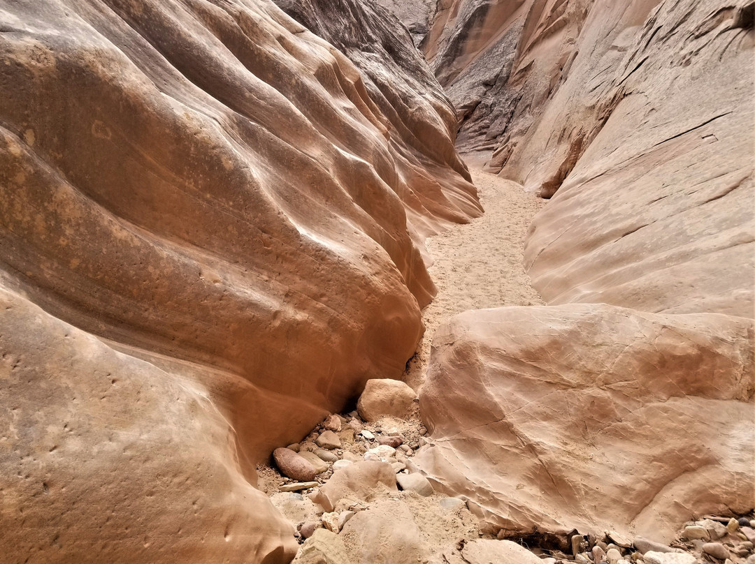 Cottonwood Canyon Road-卡纳布必去景点