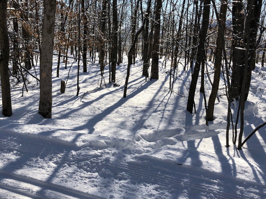 Parc Michel-Chartrand-隆格伊必去景点