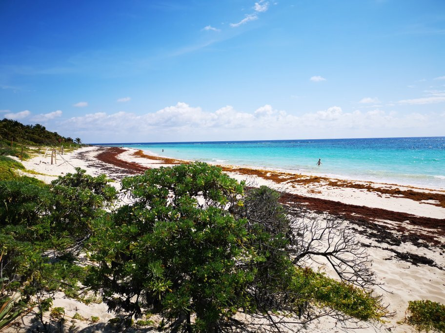 Santuario de la Tortuga Marina Xcacel Xcacelito景点图片