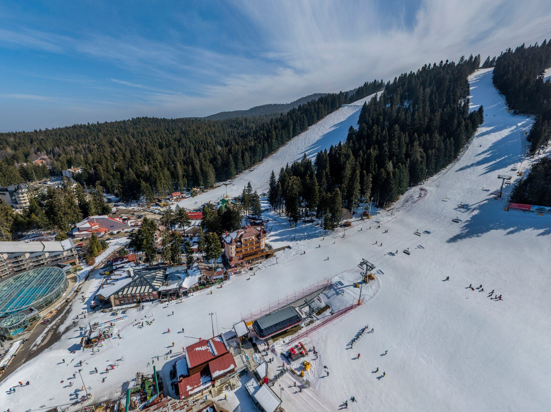 ALPIN Rent Ski & School Borovets景点图片
