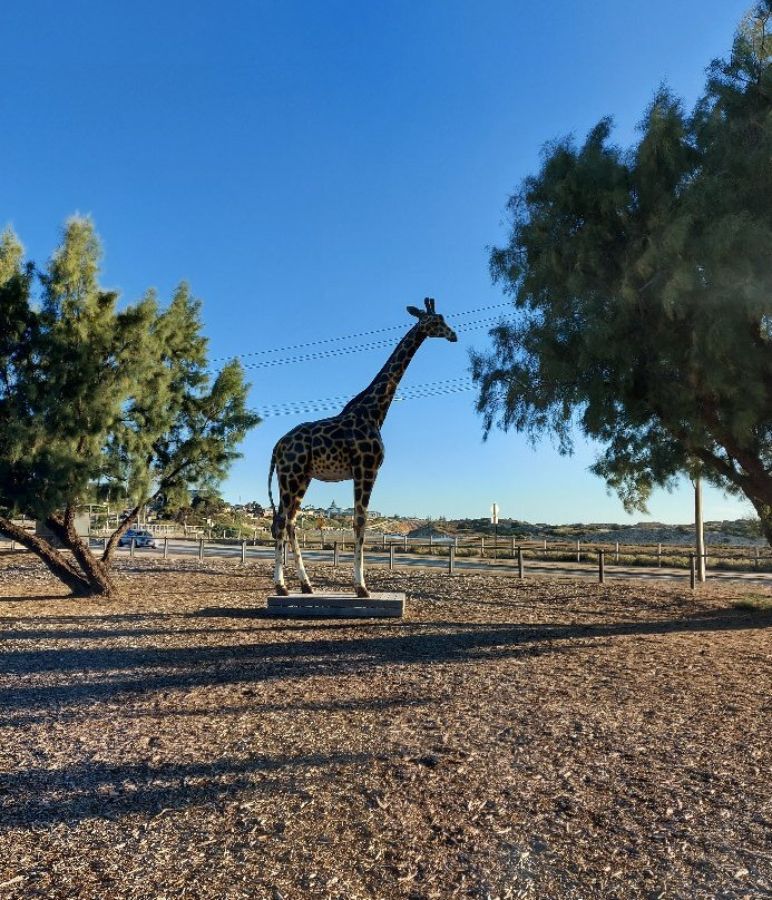 Jubilee Adventure Playground景点图片