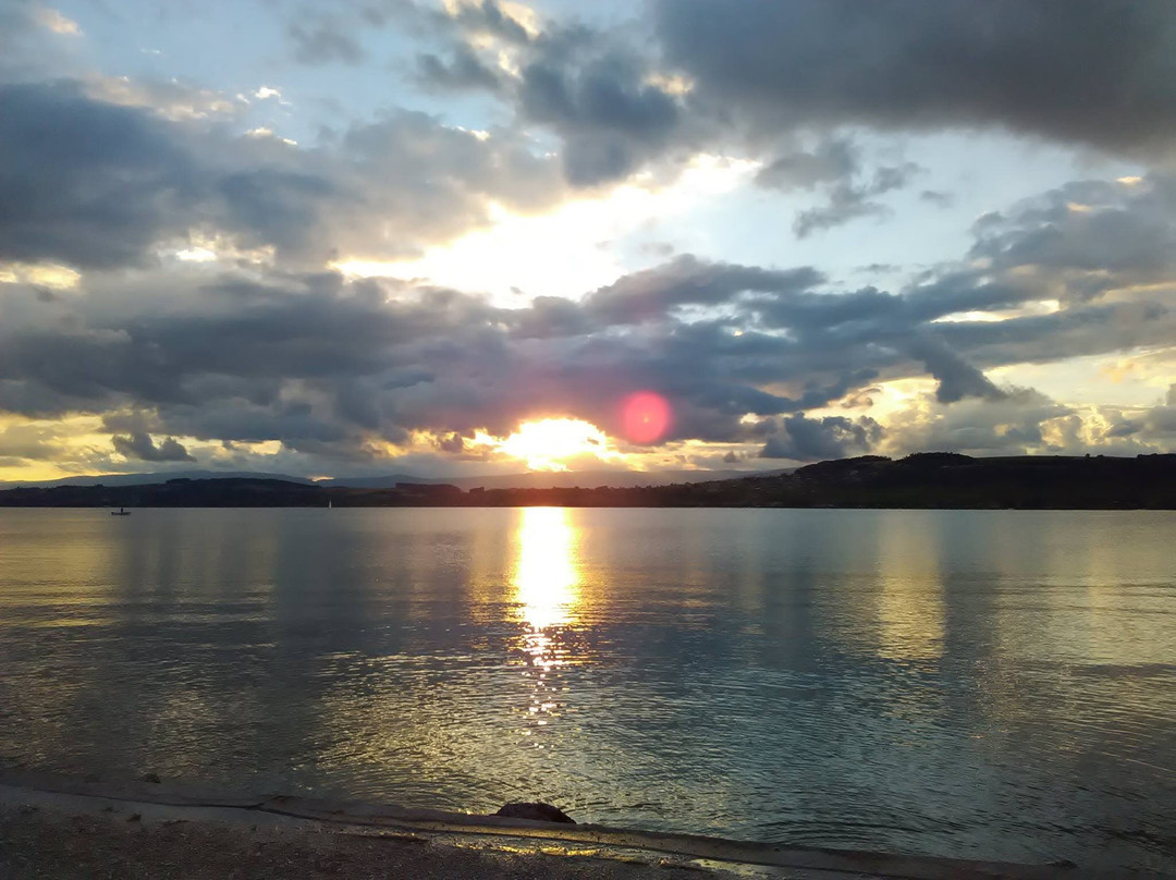 Murten Tourismus景点图片