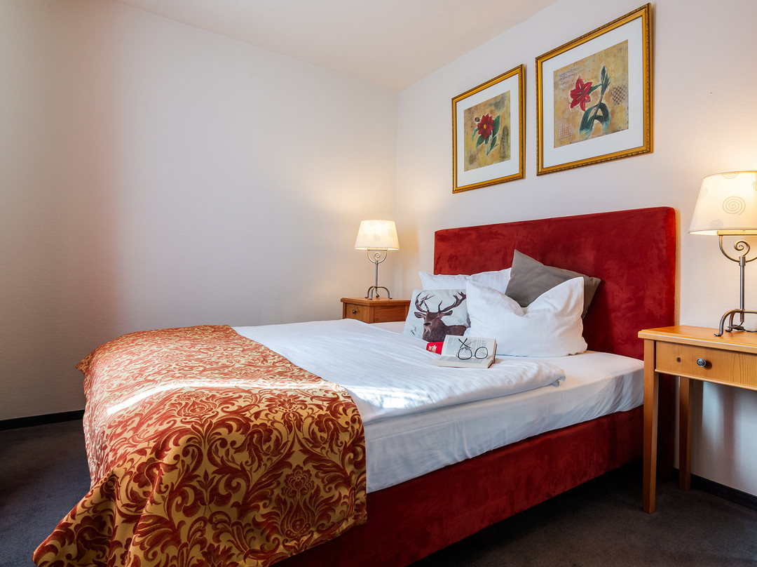 Apparthotel Bad Schandau by STEIGER Hotels主图