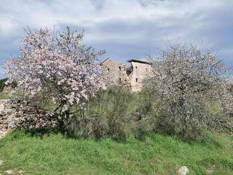 Casa Patata-Galapagar必去景点