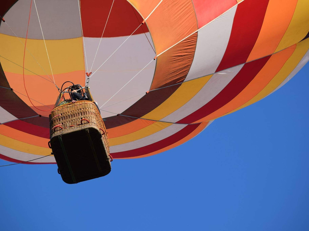 Globos Aerostaticos Argentina景点图片
