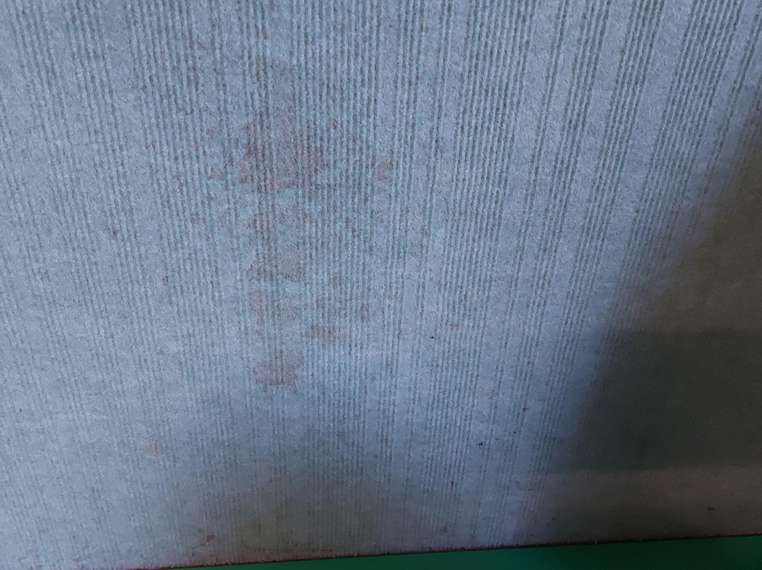 Hotel Siatel Metz主图