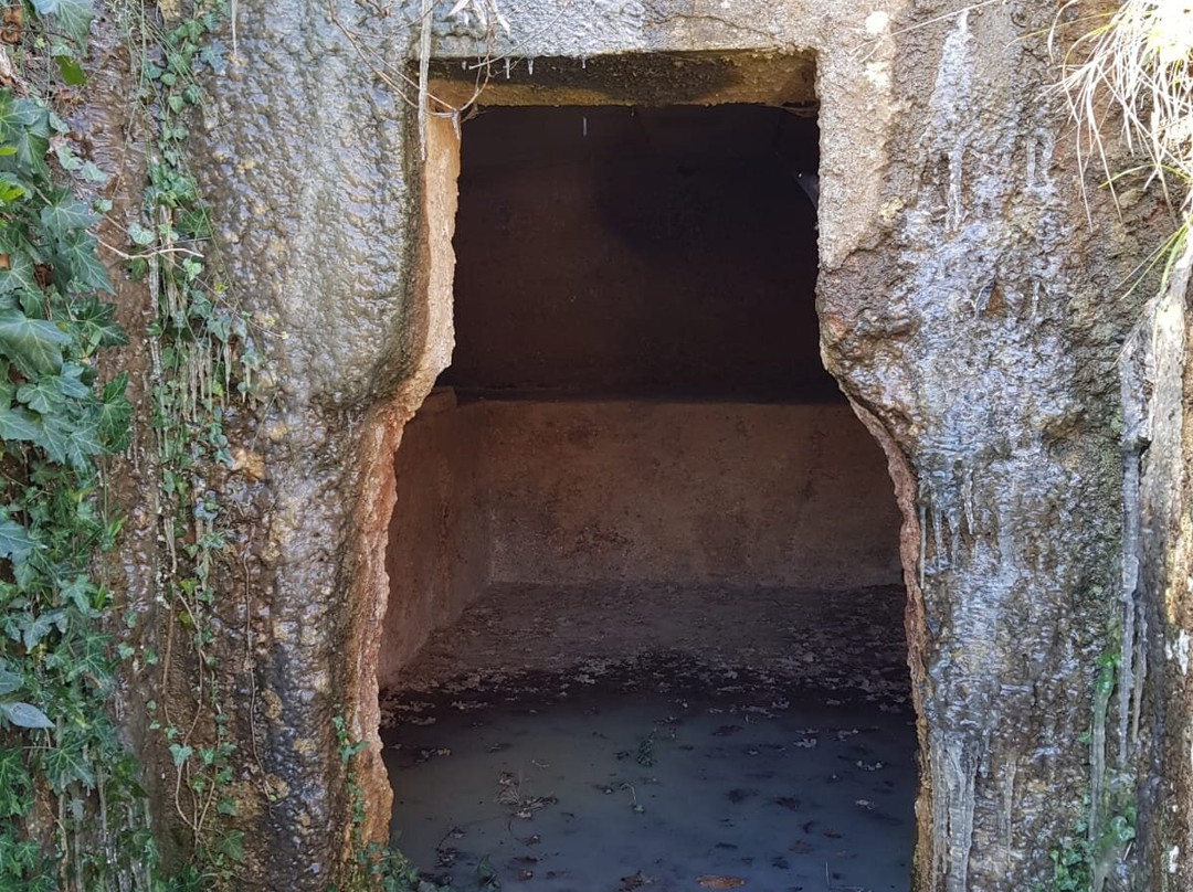 Necropoli di San Giuliano-Barbarano Romano必去景点
