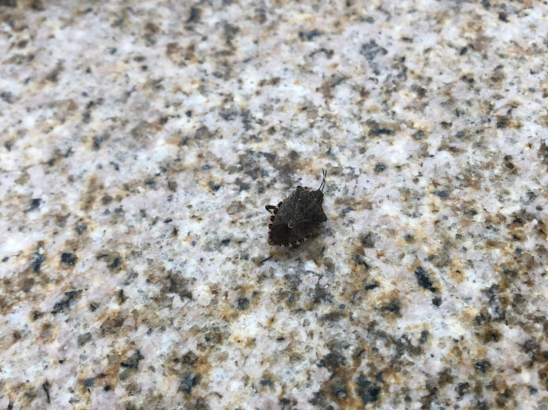 Sleep Inn Provo Near University主图