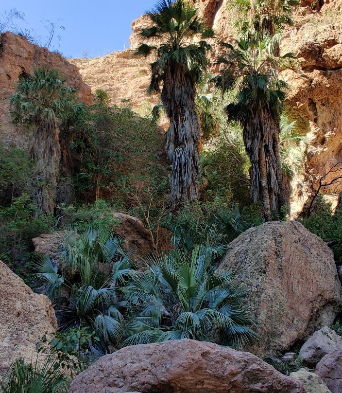 Nacapule Canyon-圣卡洛斯必去景点