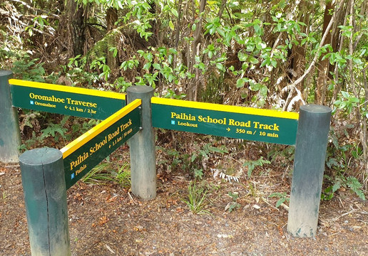 Opua Forest Lookout Track-派希亚必去景点