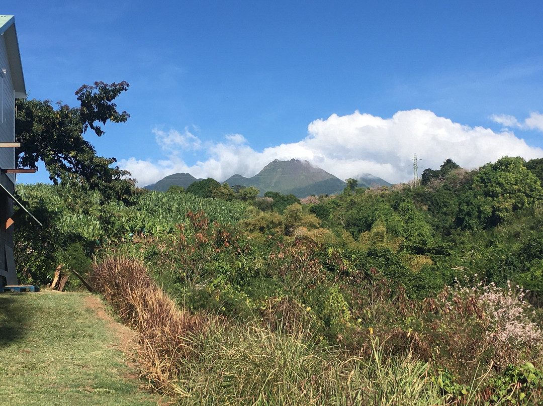 Paradis Tropical appart' hotel主图