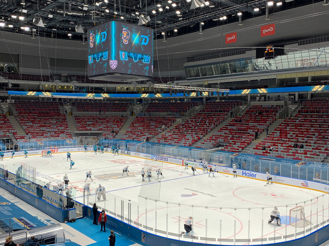Bolshoy Ice Dome-艾德勒必去景点