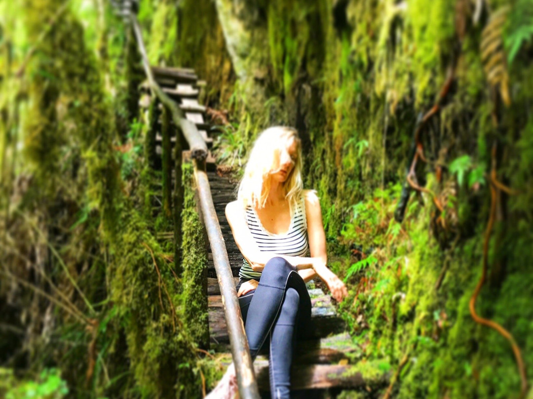 Sendero Cascadas Encondidas-百内国家公园必去景点