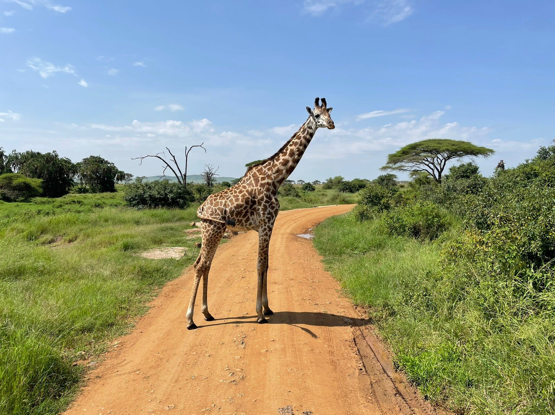 Kiliholidays Tours And Safaris-阿鲁沙必去景点