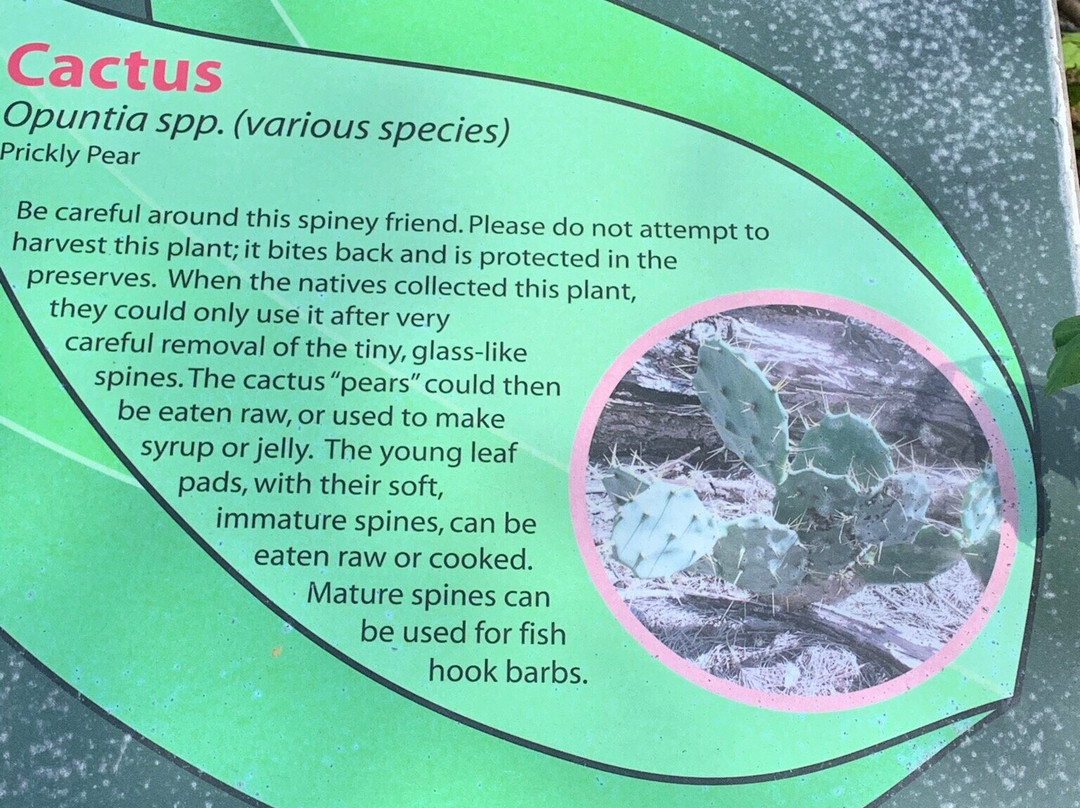 Neal Preserve-布雷登顿必去景点