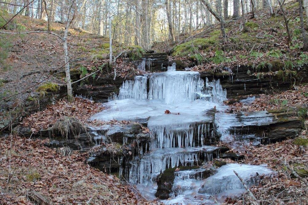 Enchanted Nature Tours inc.-斯汤顿必去景点