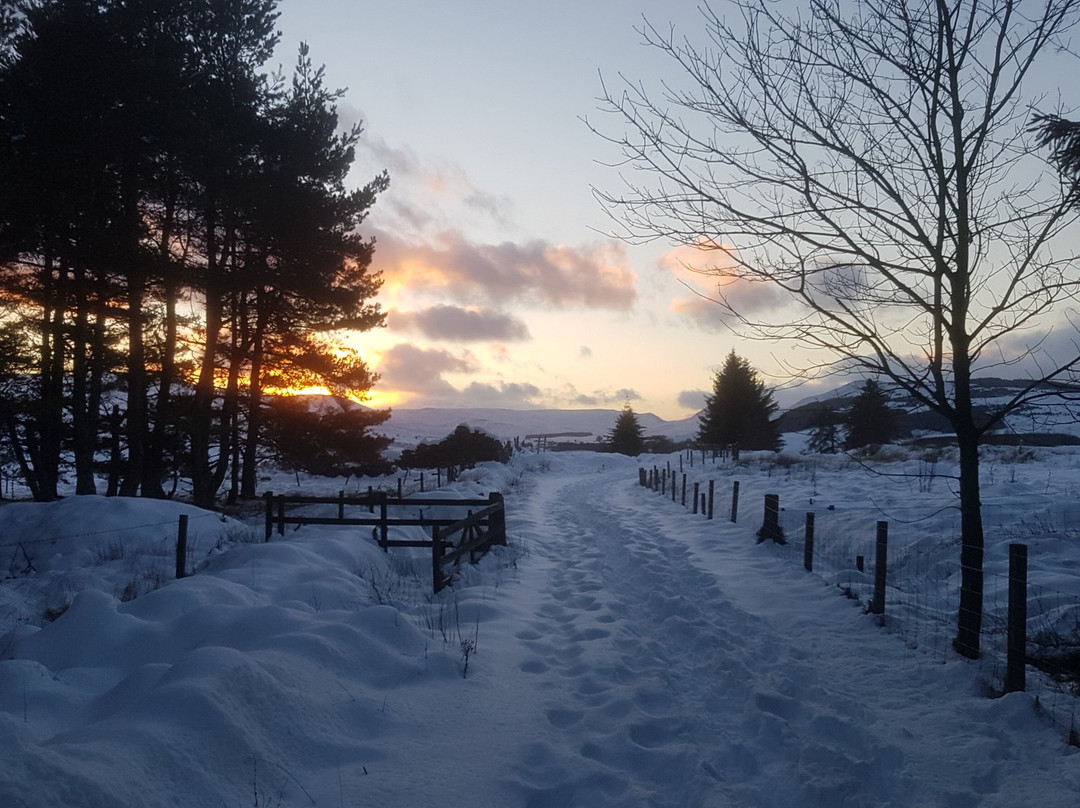 Corbenic Poetry Path-Dunkeld必去景点