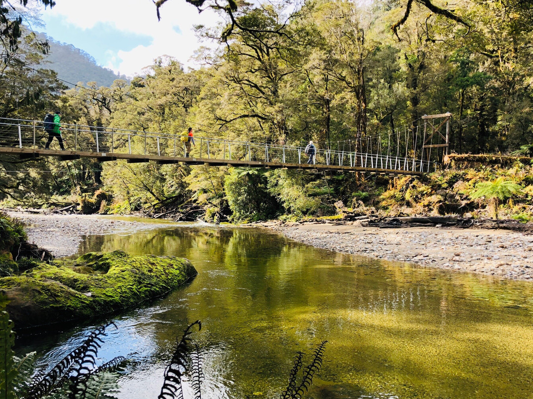 Paparoa Shuttles景点图片