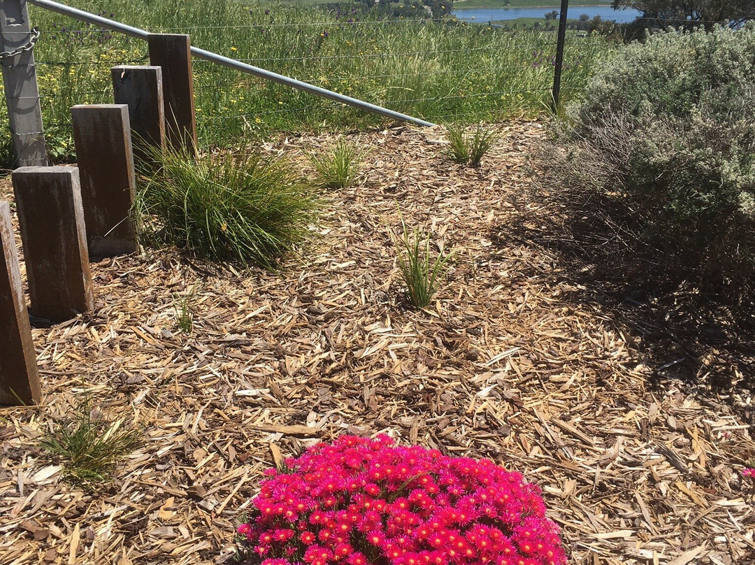 Tallangatta Lookout景点图片