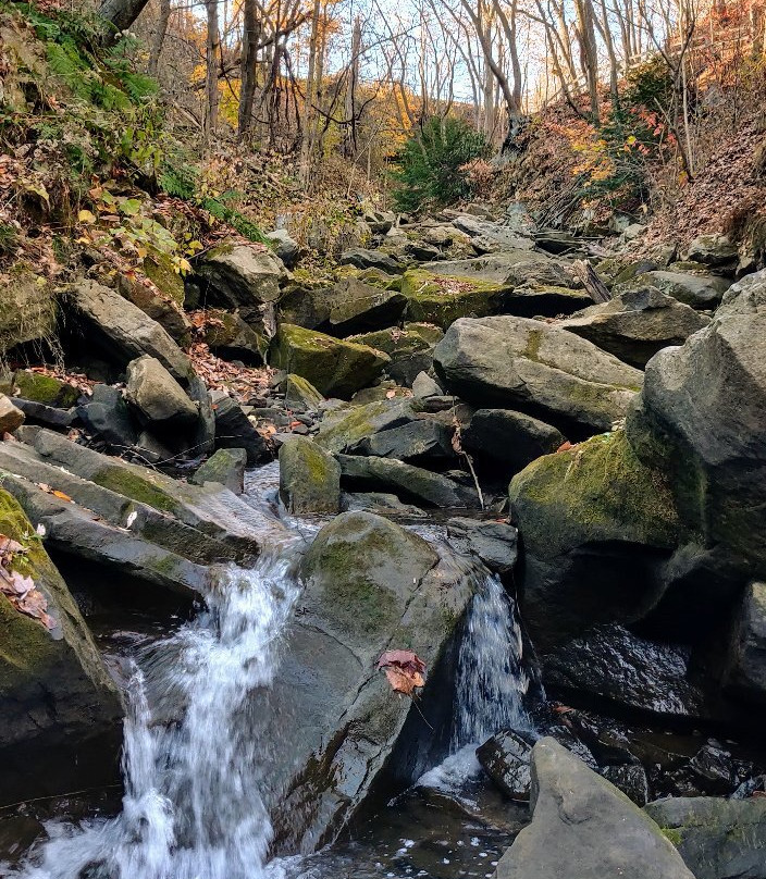Buttermilk Falls Natural Area景点图片
