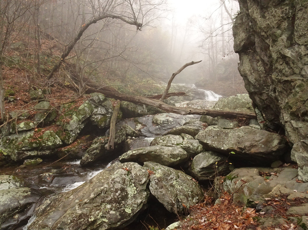 White Oak Canyon Trail-Syria必去景点