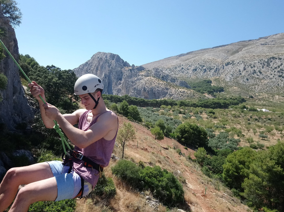 The Olive Branch El Chorro主图