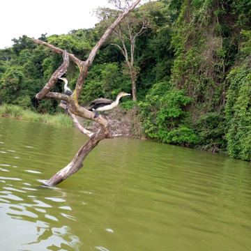 Copasa Travel-莫西必去景点