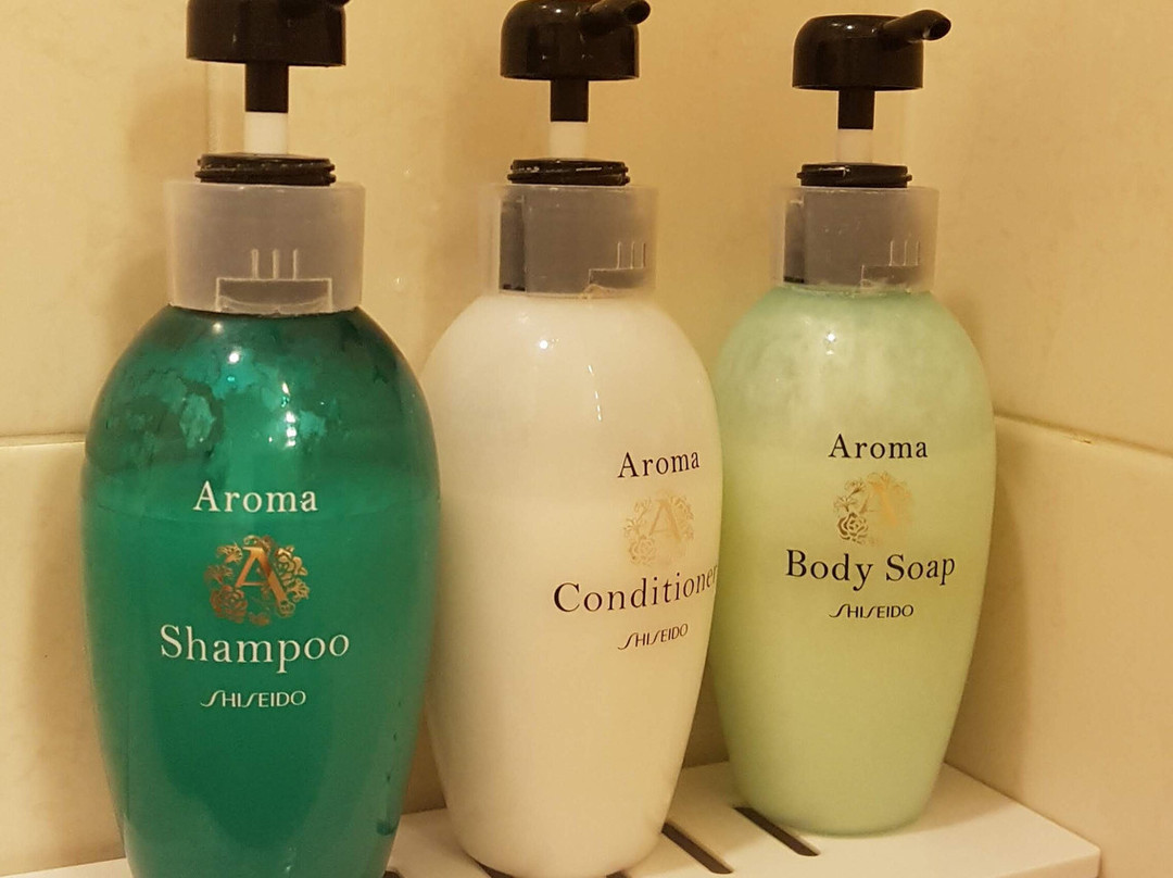 幕张新大谷酒店主图